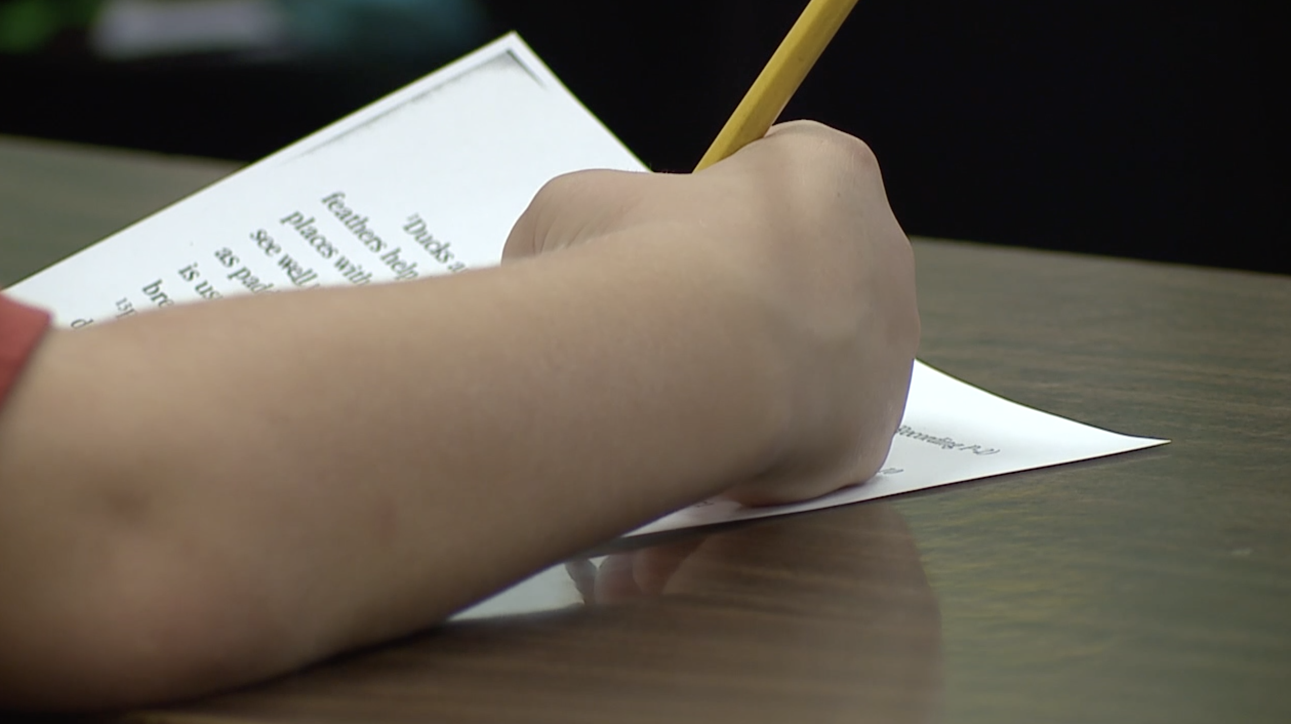 A look at the changing public education enrollment landscape - Vimarsana News